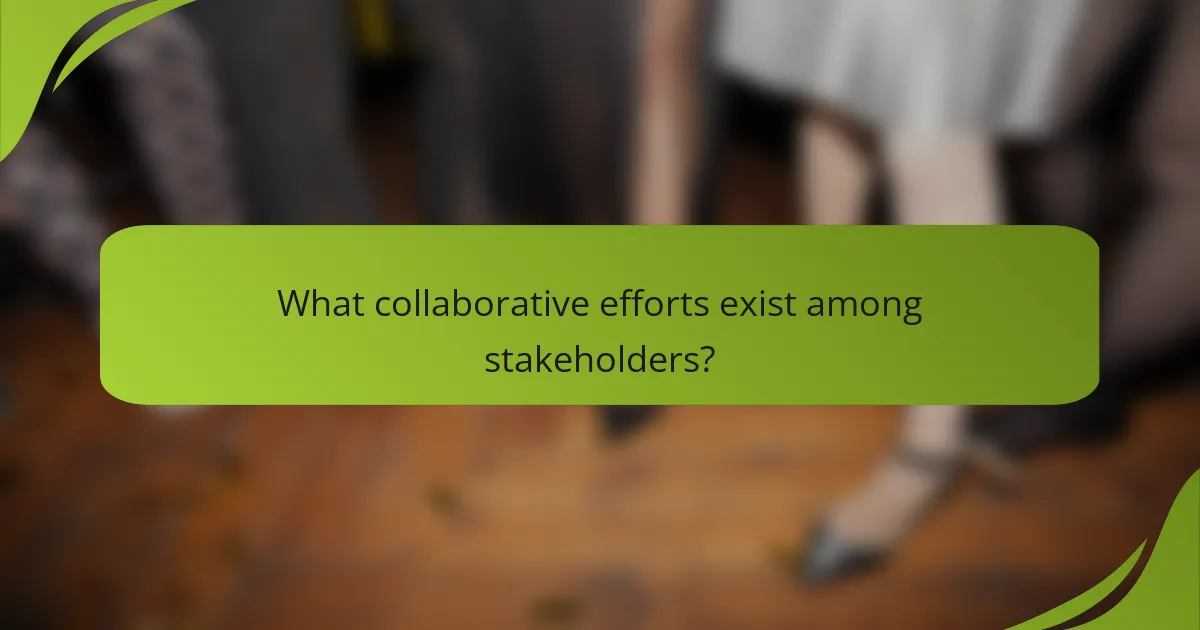What collaborative efforts exist among stakeholders?